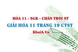 Giải Hóa 11 Chân trời Sáng tạo trang 19